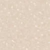 A-401 Cloudy Mount A-401 Cloudy Mount