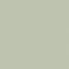 seagrass seagrass