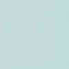 mint ice mint ice