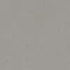 cool gray cool gray